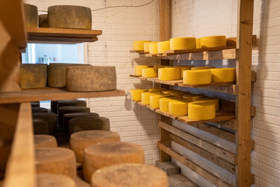 Fromager-affineur dans une cave d affinage remplie de meules